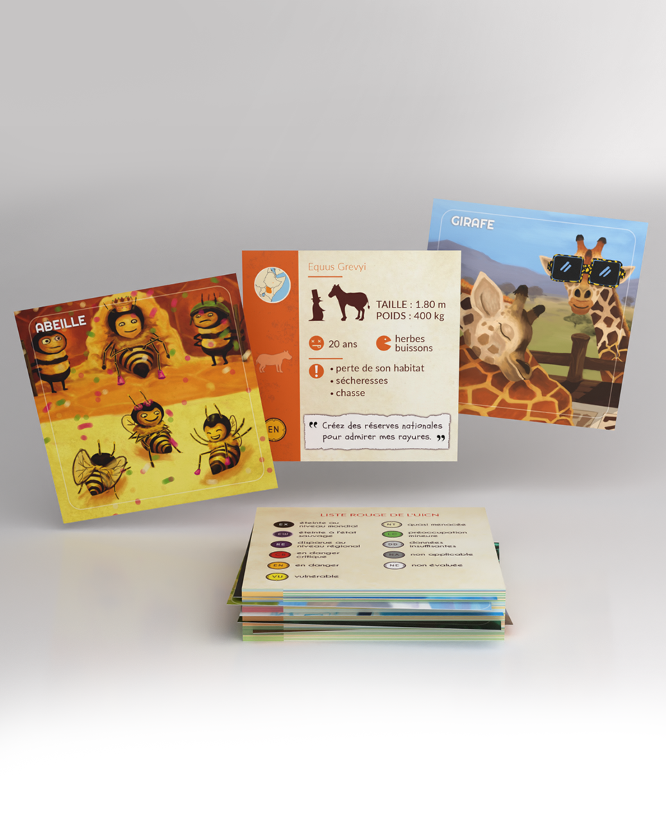 carte_collection_front3D_02