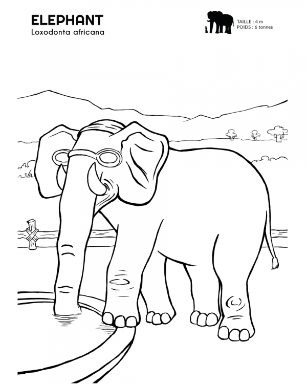 carnet coloriages A4 - elephant