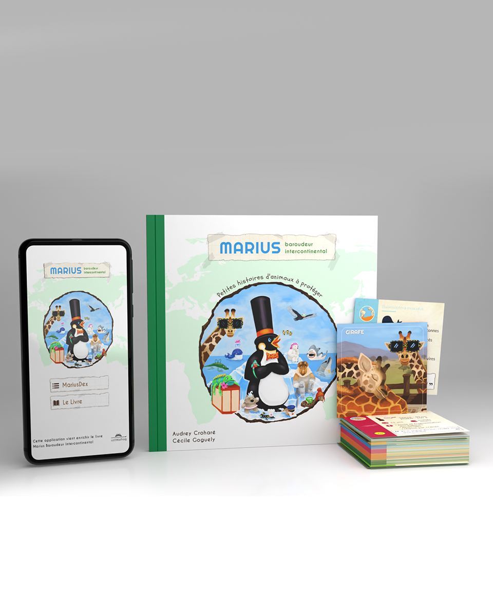 PACK_cartescollections